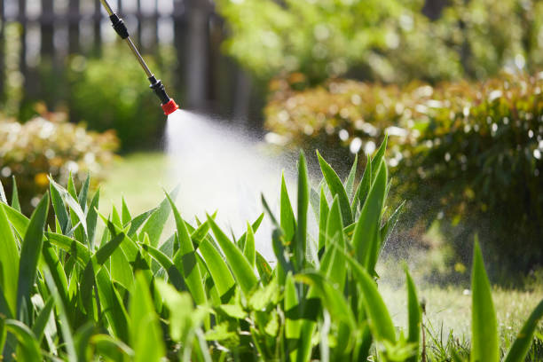 24/7 Emergency Ant Control experts in Brown City, MI