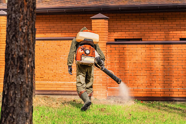 Trusted Rodent Control service in Brown City, MI - Nex Pest Control